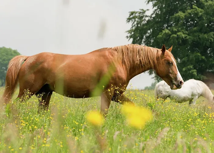 Farm With Lovely Panoramic Views Hébergement de vacances